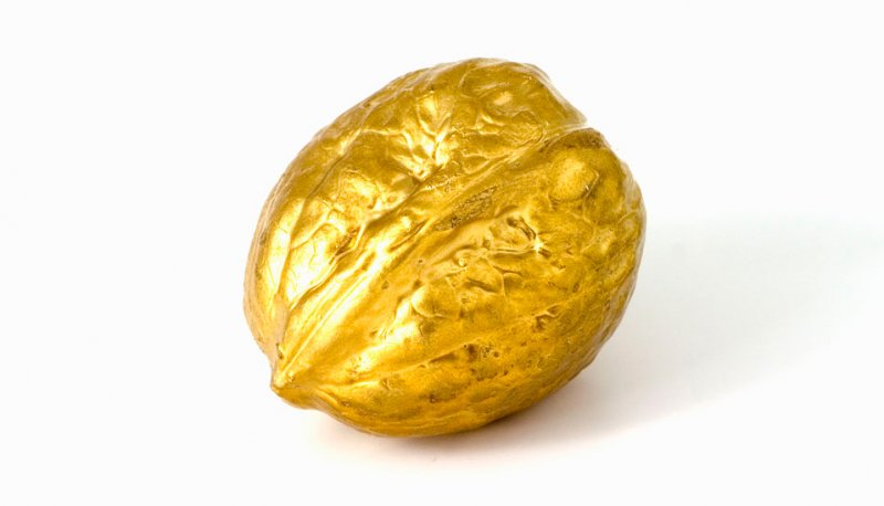 La nuez de Oro